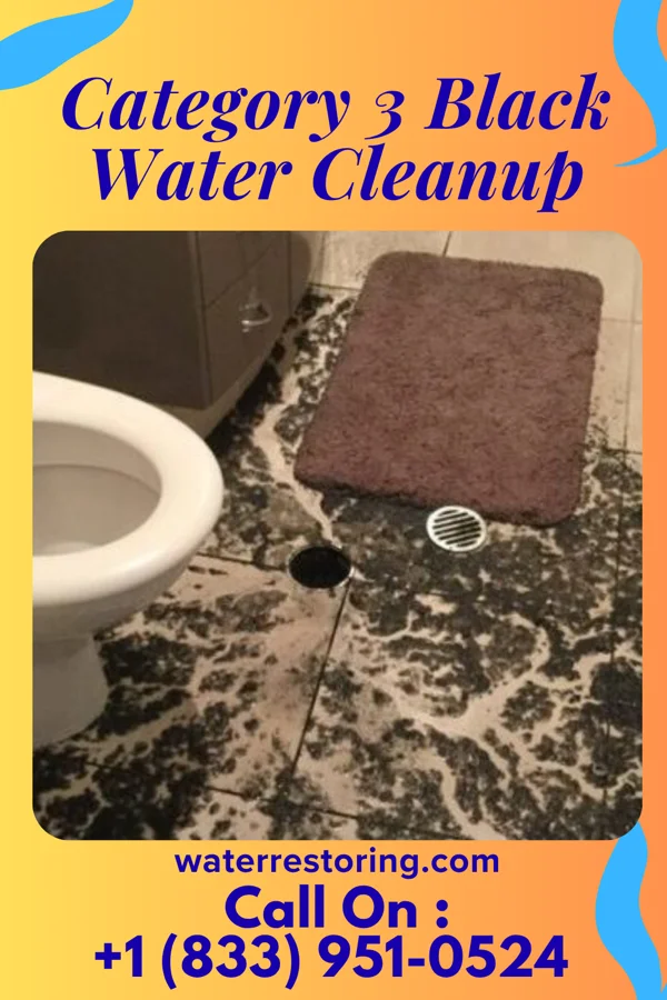 Category 3 Black Water Cleanup in Laurel Lake, NJ