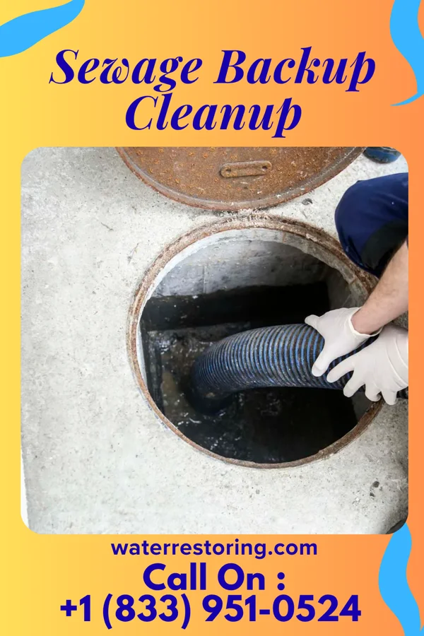 Sewage Backup Cleanup in Laurel Lake, NJ