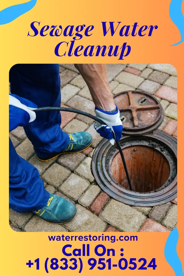 Sewage Water Cleanup in Laurel Lake, NJ